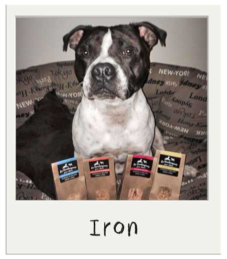 Iron aime les batonnets Patates douces pour chien